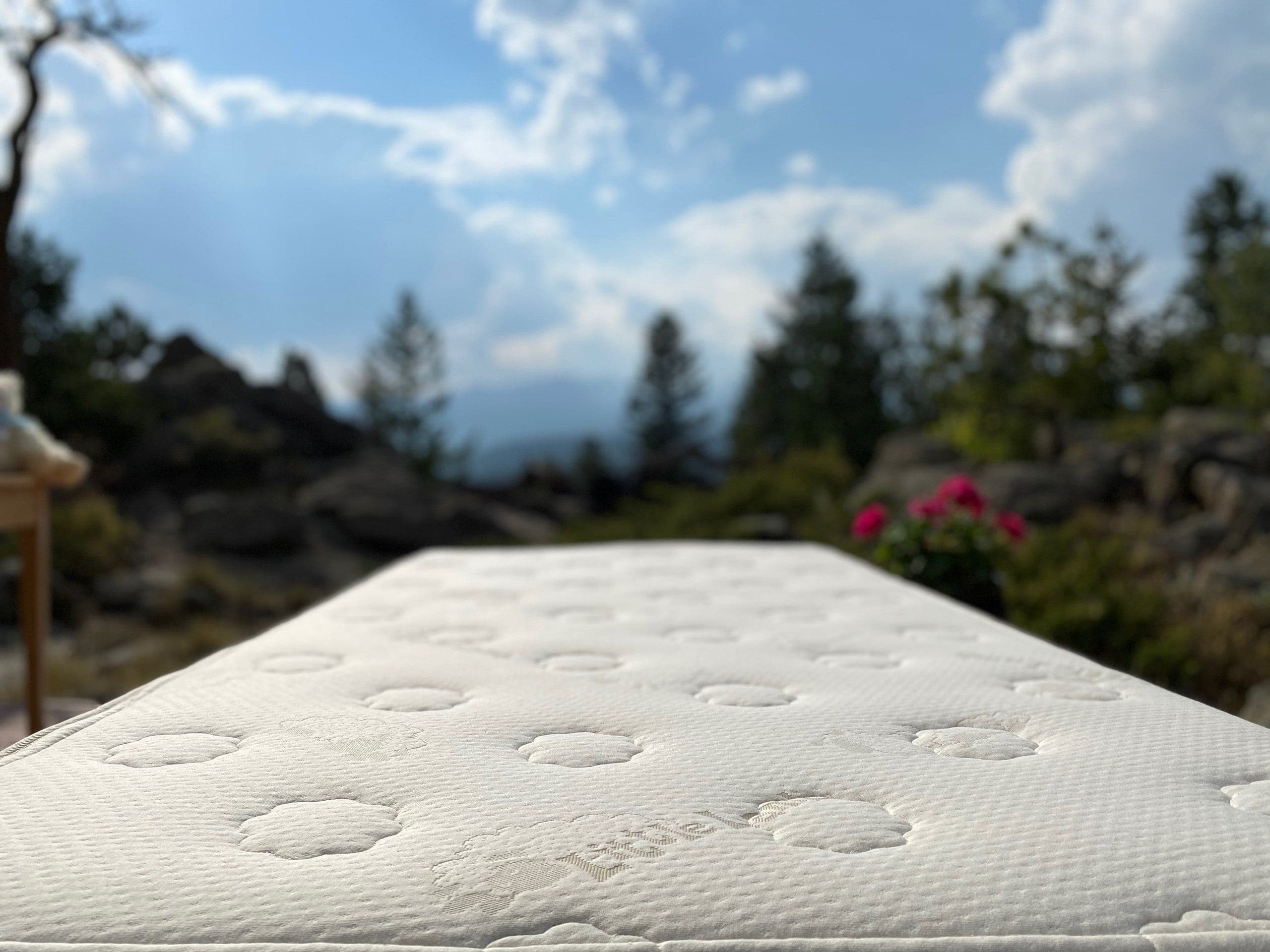 Suite Sleep Little Lamb Botanical Latex Mattress - Image 3